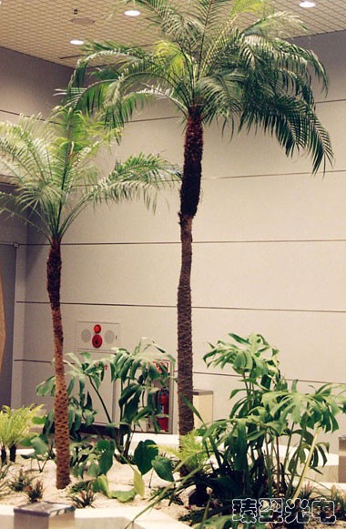 陽光照明室內綠化應用