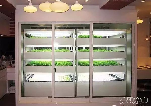 光纖照明，光導照明，植物栽培