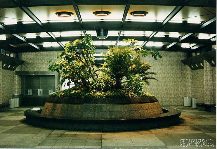 光導照明，光纖照明，室內植物照射